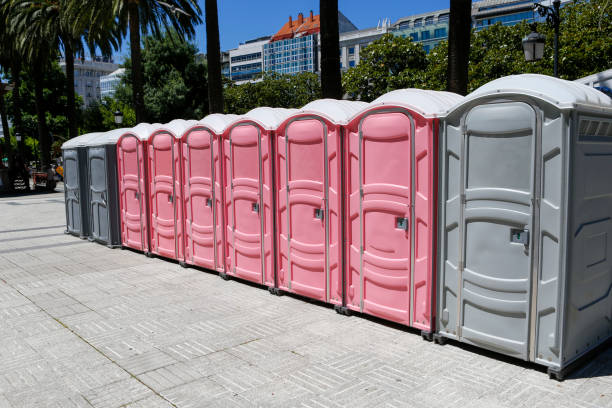 Types of Portable Toilets We Offer in Ak Chin Village, AZ